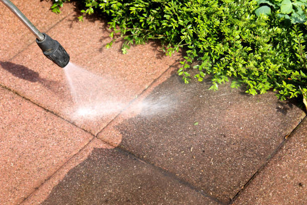 Best Pressure Washing Services for Businesses  in Clayton, CA